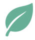 nature-otsa-green